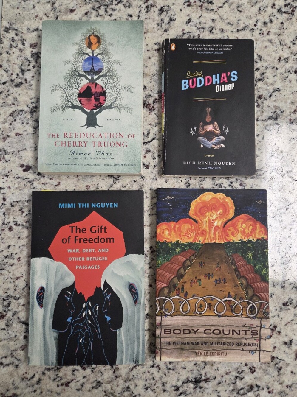 BOOK BUNDLE of The Vietnam War and Memoirs of Vietnamese Refugees